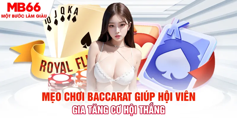 sv66 đá gà 88