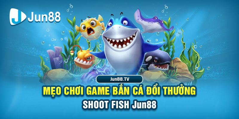 sv66 tai game danh bai bigkool ve may tinh
