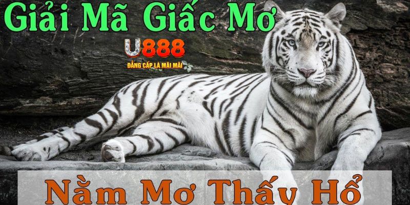 sv66 xổ số kiến thiết miền bắc