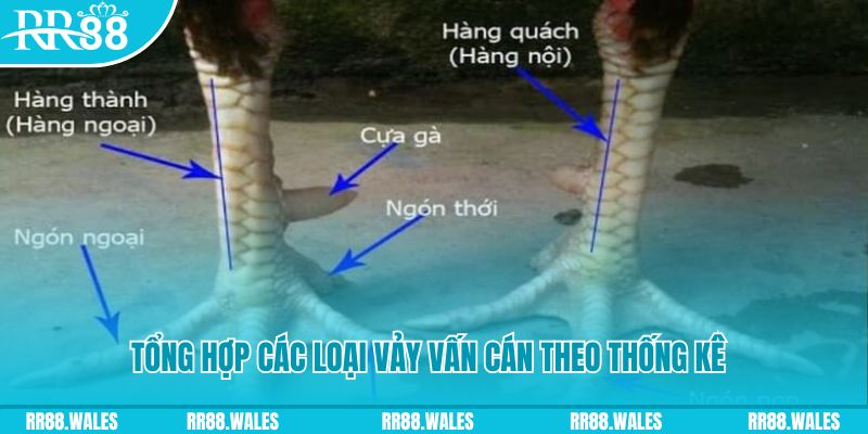 sv66 nổ hũ chơi như thế nào