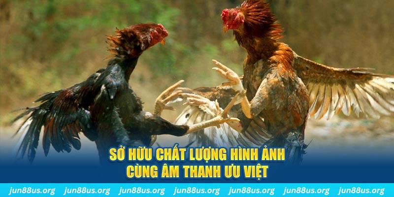sv66 tai game danh bai ve may tinh