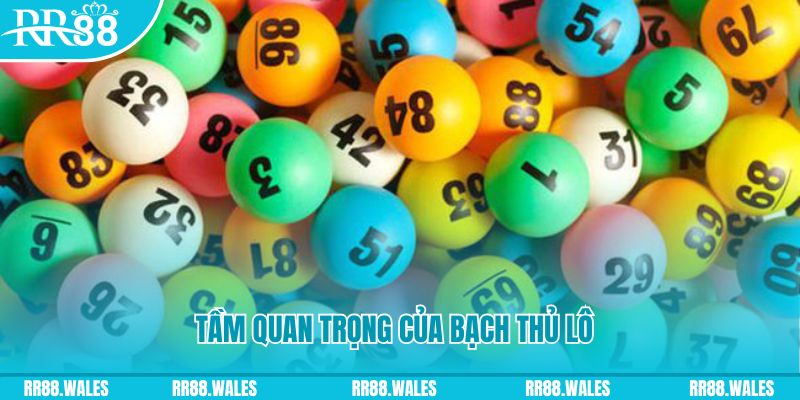 sv66 đá gà trực tiếp casino