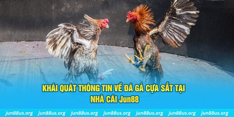 sv66 game bài trên máy tính