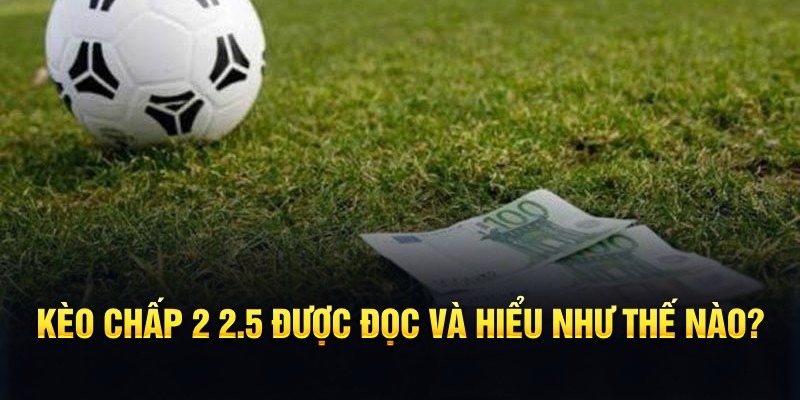 sv66 đá gà thomo